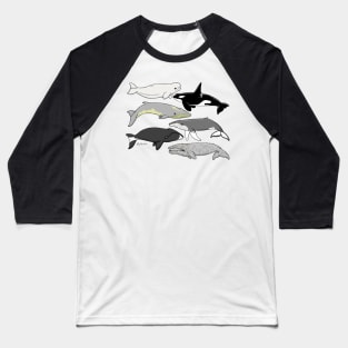 Whales of Alaska Baseball T-Shirt